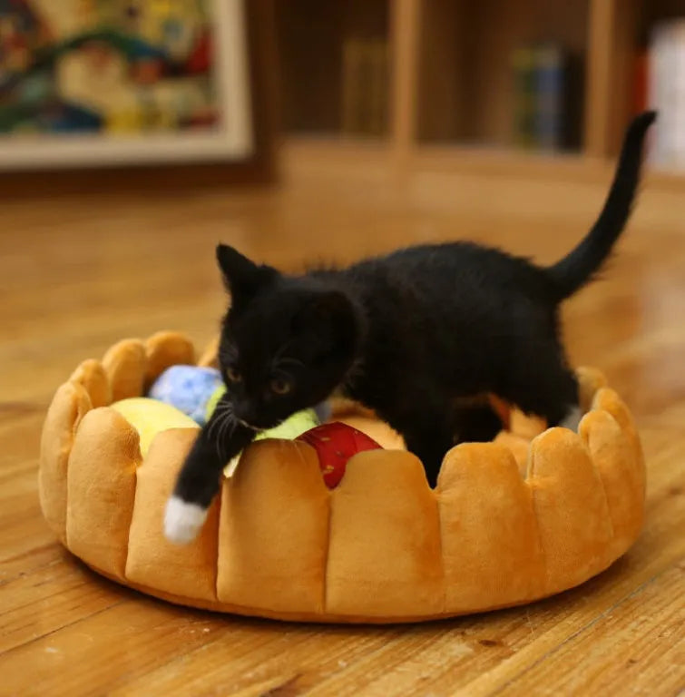 Creative fruit egg tart pet bed with washable cushion in 42x42cm for small pets
