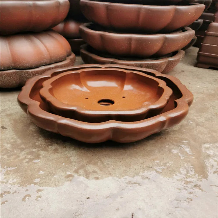 Purple sand round flower pot in red colour, 35-40cm height, for small begonia tree display on desktop