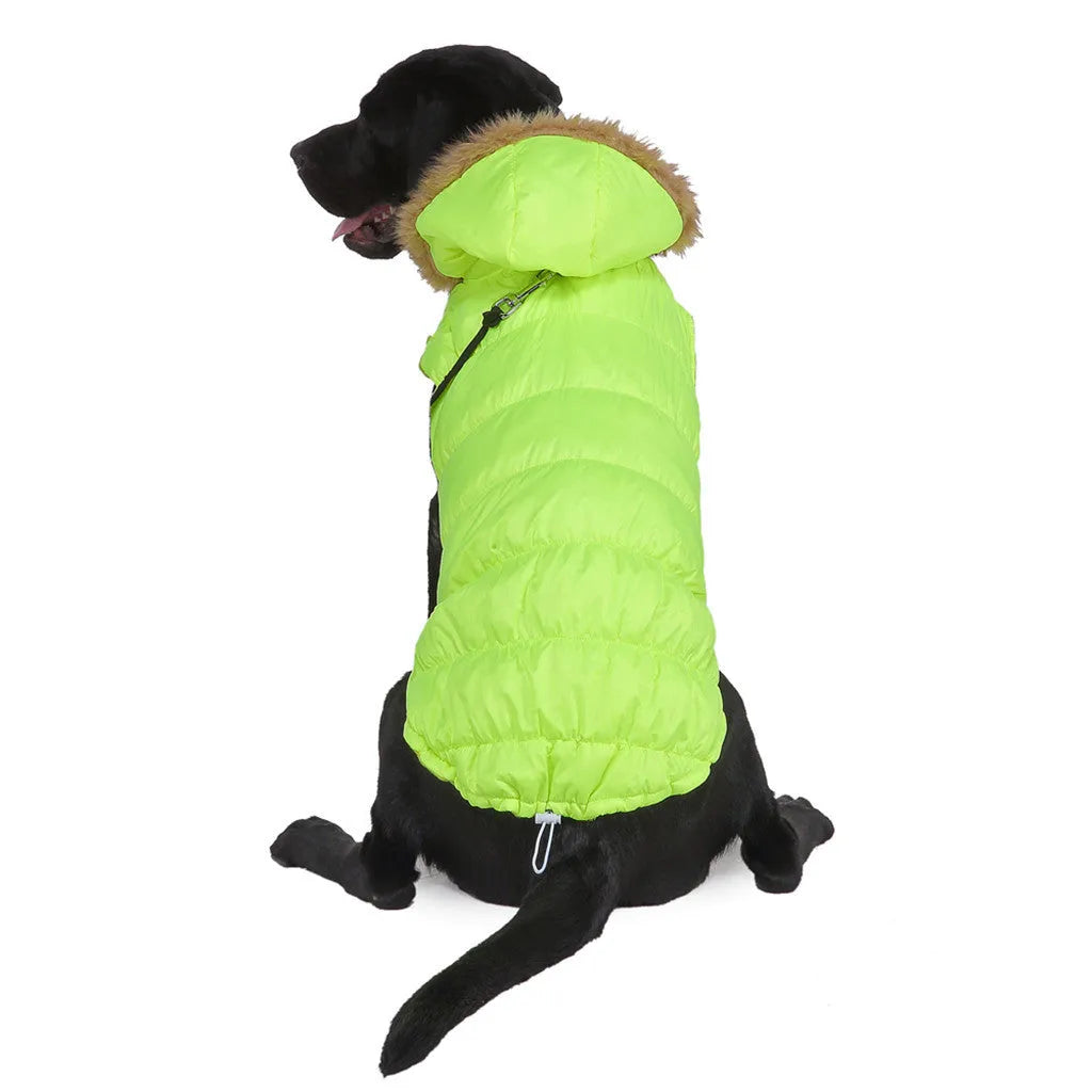 Reflective winter dog coat in blue or green, polyester, sizes S to XXL for large dogs