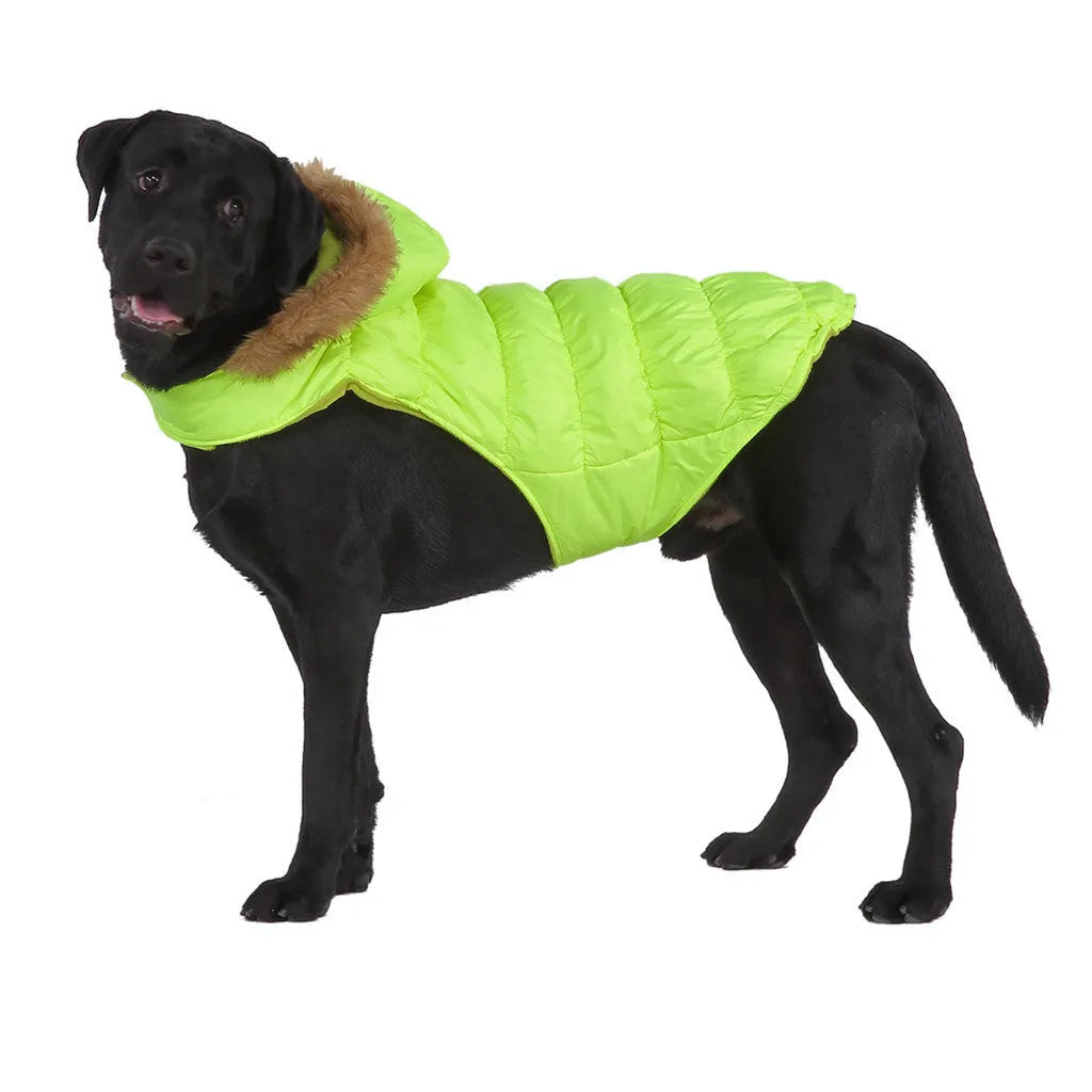 Reflective winter dog coat in blue or green, polyester, sizes S to XXL for large dogs
