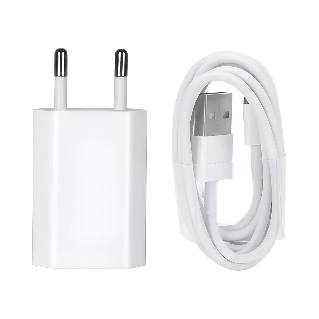 5V 2A USB wall charger and cable for iPhone and iPad charging