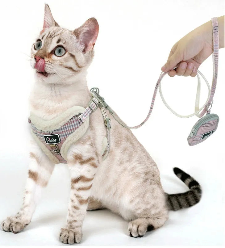 Puppy dog leash in blue, non-scalable, 120cm length, available in sizes S and M