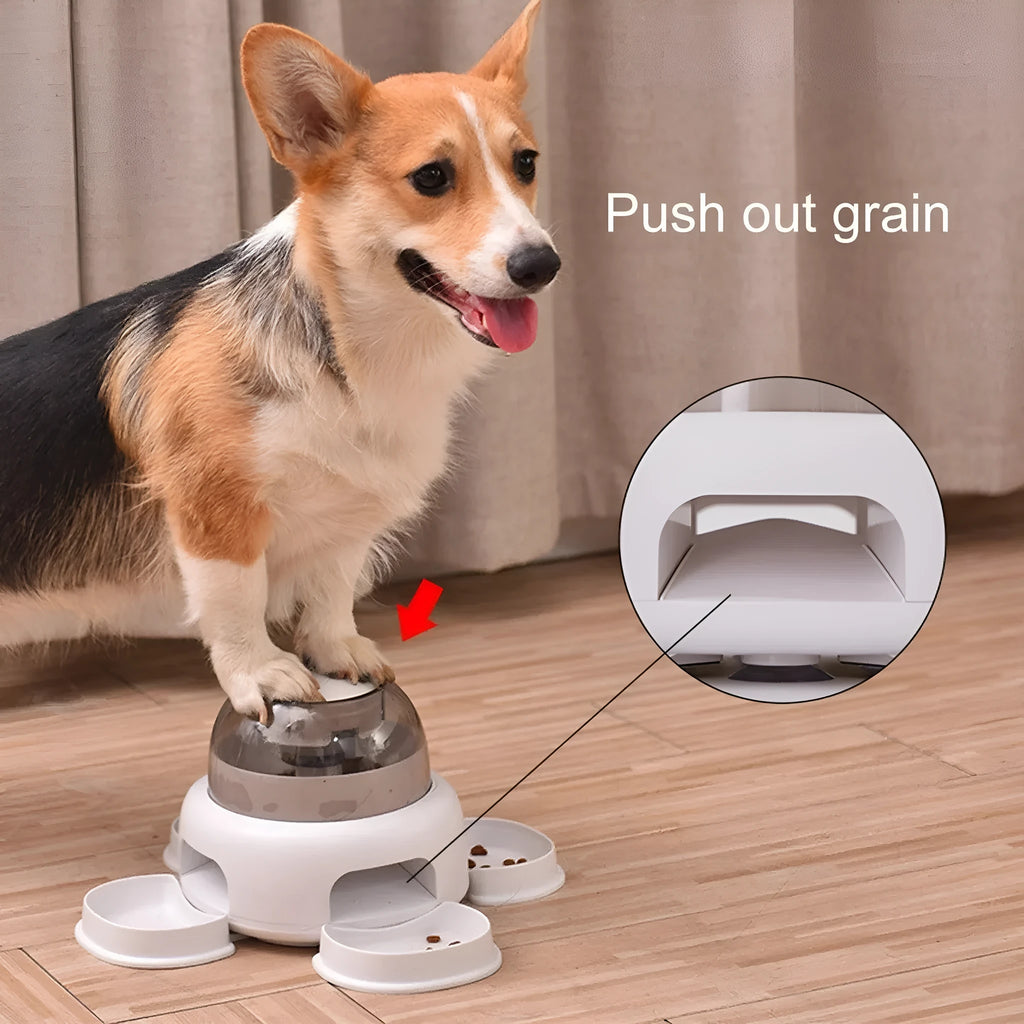 White plastic dog press leakage food feeder with optional plate and disk upgrades.
