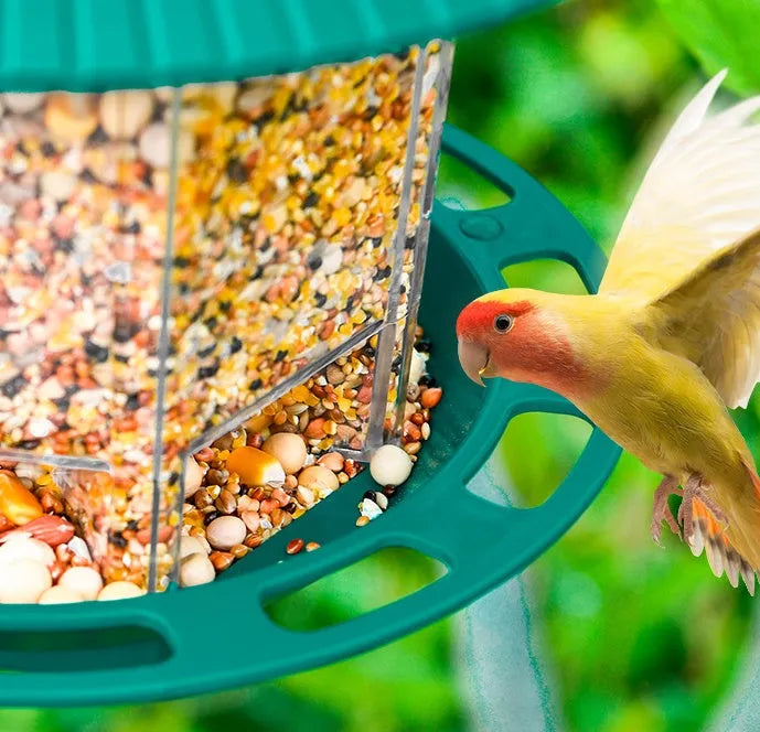 Outdoor garden hanging transparent bird feeder in green PP material with automatic feeding mechanism