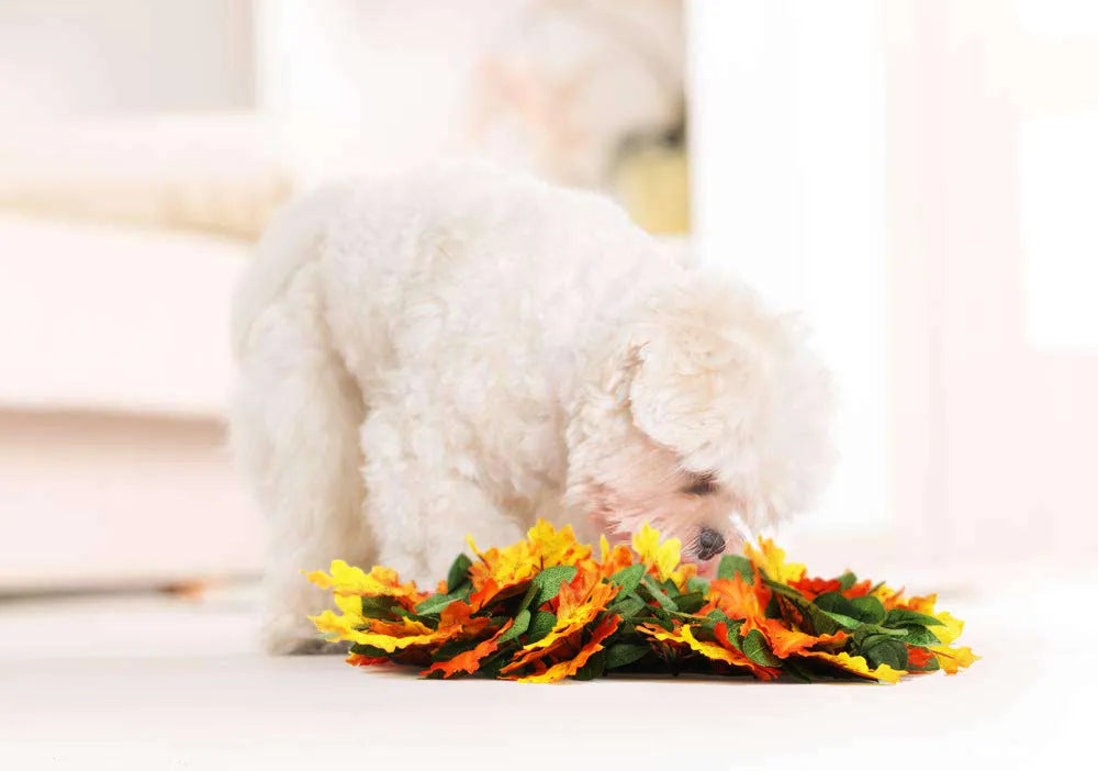 Pet jungle feeding mat, washable sniffing blanket, 55x50cm, fabric silk screen and glass fibre, colours A and B
