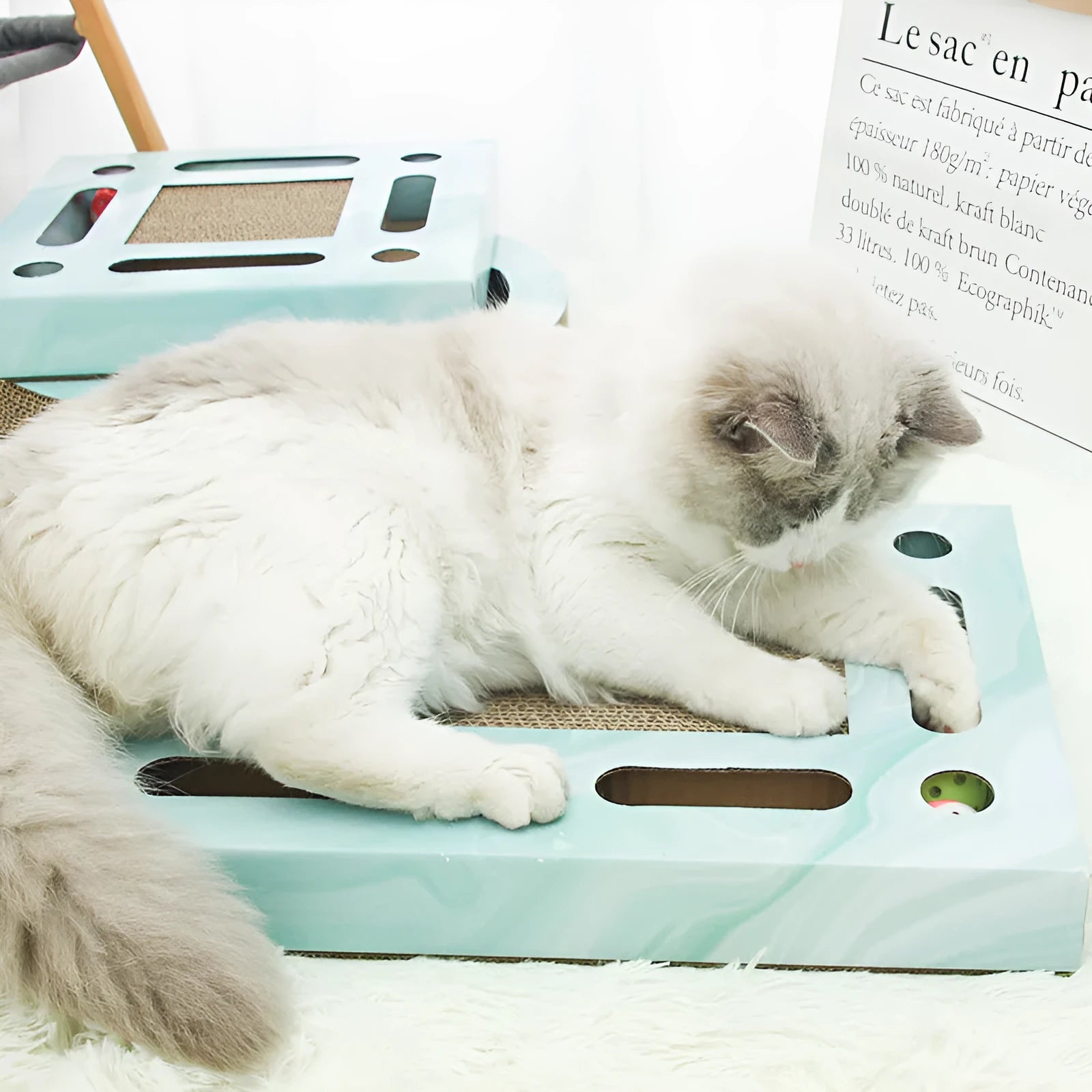 Large corrugated paper cat scratching board in rectangle shape for floor use