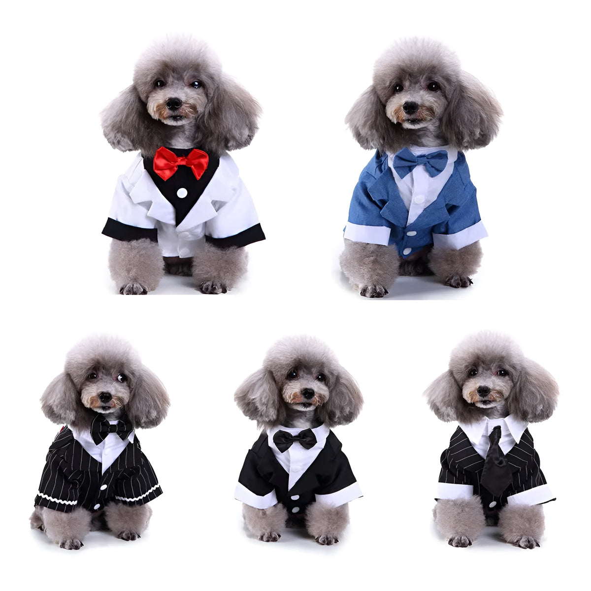 Polyester England style pet dog suit in Black tie, Blue bow tie, Striped dovetail, Striped suit, or White tie, sizes S to XL