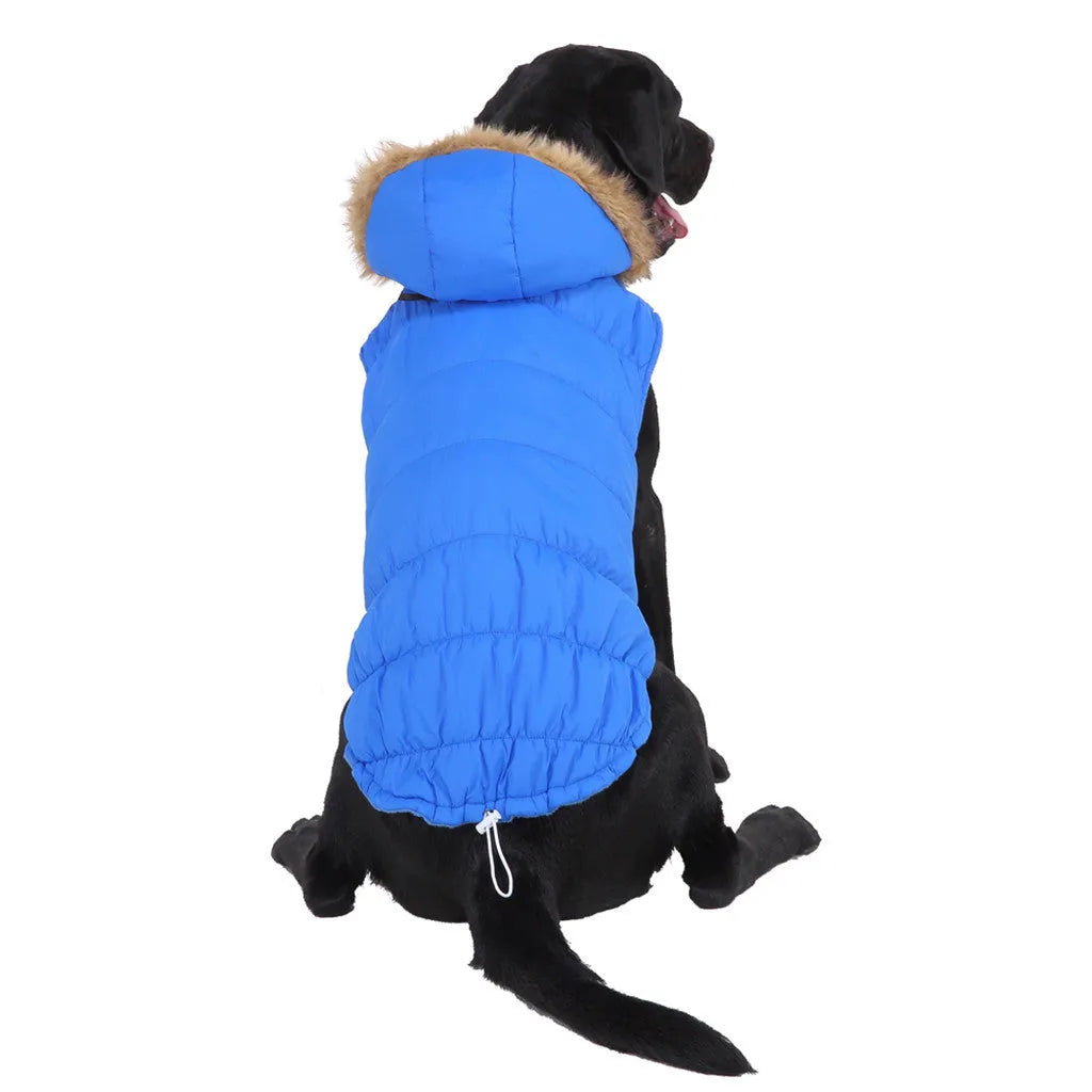 Reflective winter dog coat in blue or green, polyester, sizes S to XXL for large dogs