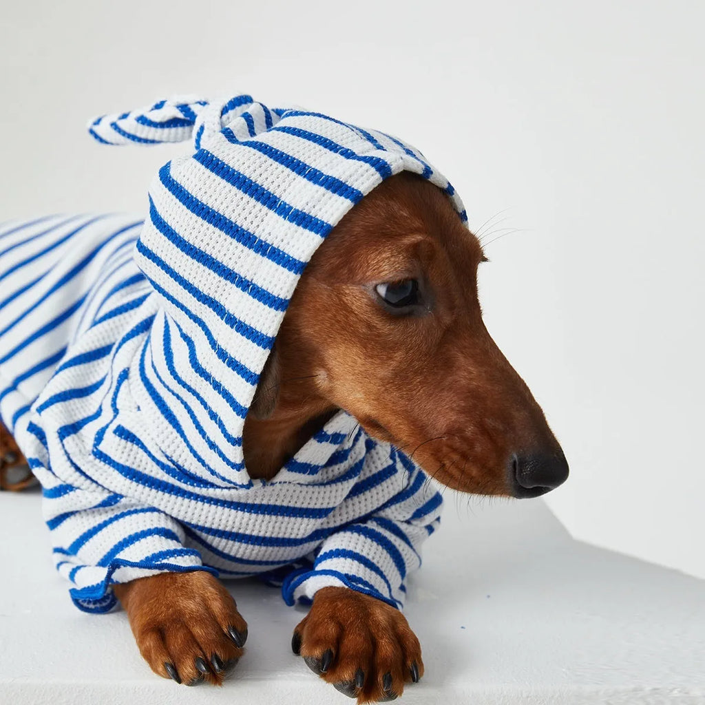 Striped hooded pet clothes in red and blue for dogs and cats, two feet design