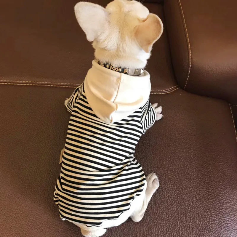 Cotton dog terry sweater for small dogs, sweatshirt style, black or khaki, sizes XS to 4XL