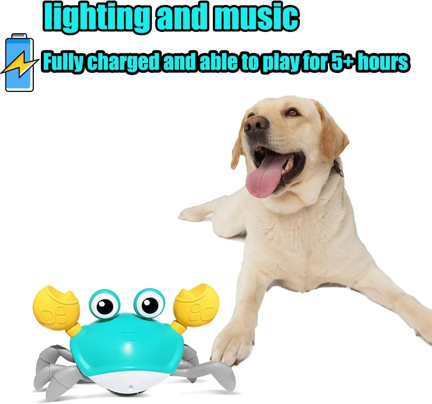 Blue and red electronic crawling crab dog toy with lights on a flat surface.