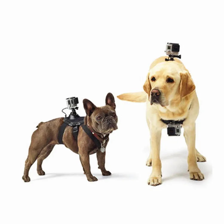 Black dog chest harness mount for GoPro with quick release base, washable material, two fixed positions