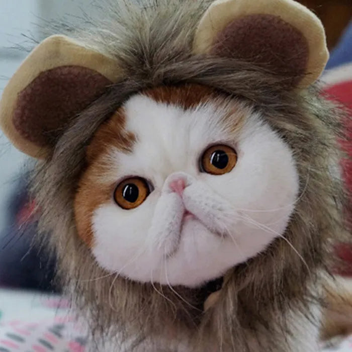 Non-woven yellow lion headgear cat hat pullover for 28-38cm neck circumference