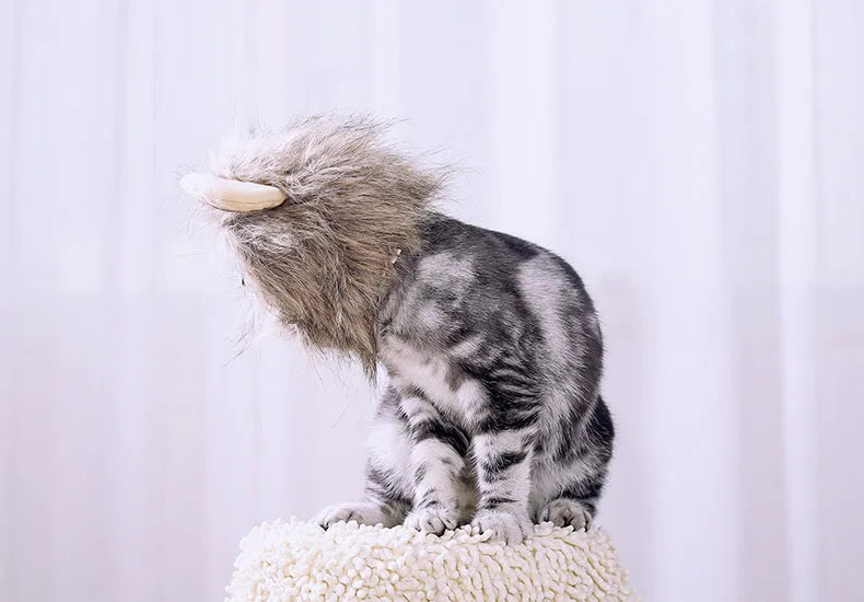 Non-woven yellow lion headgear cat hat pullover for 28-38cm neck circumference