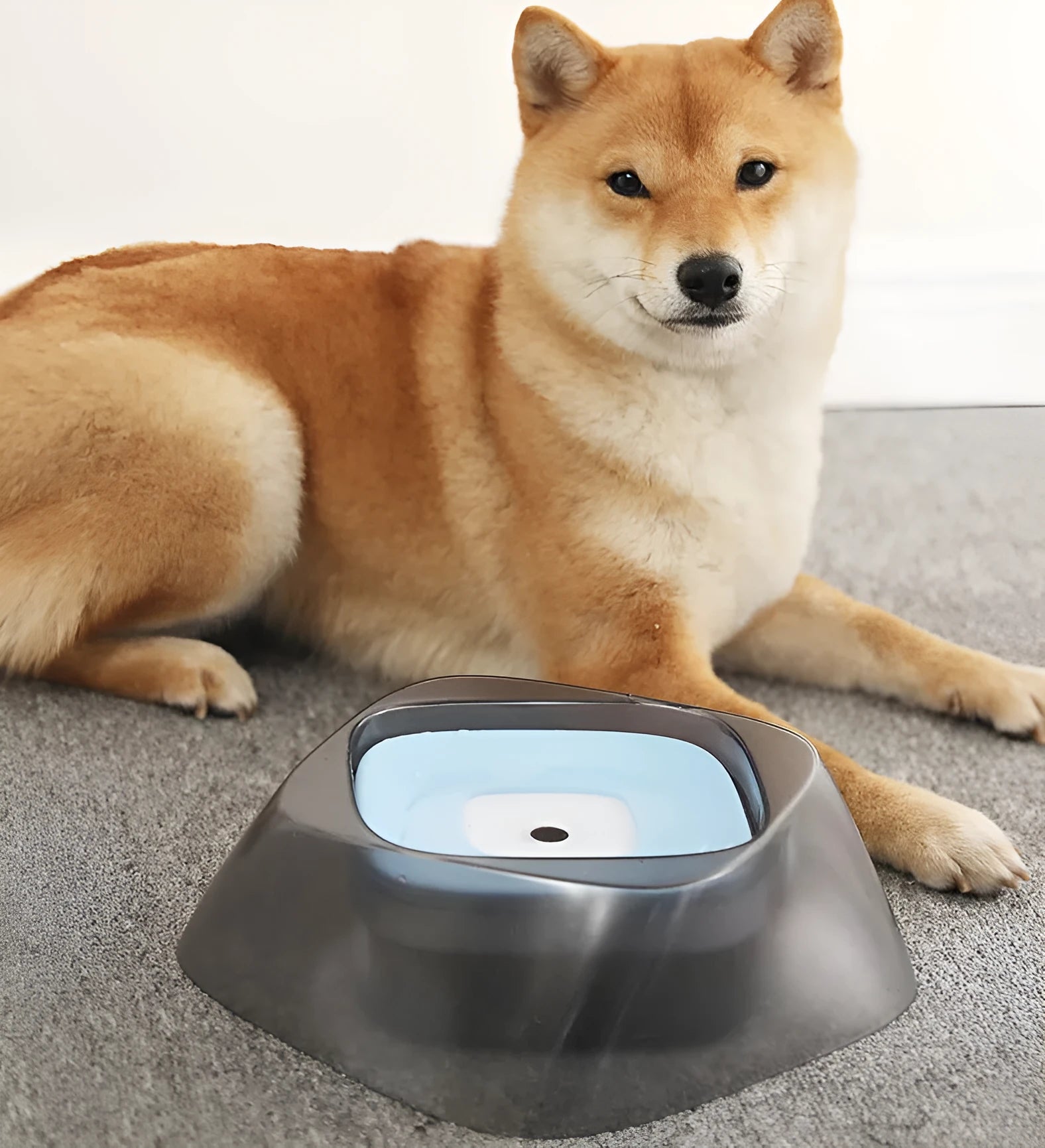 Anti-spill pet dog bowl with floating disc, 750ml capacity, anti-skid base, beige colour