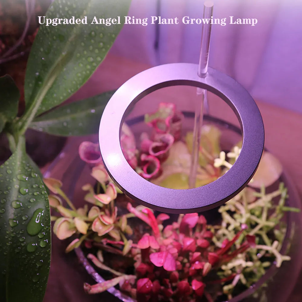 Small circular USB LED angel ring grow light for indoor plants on a desk.