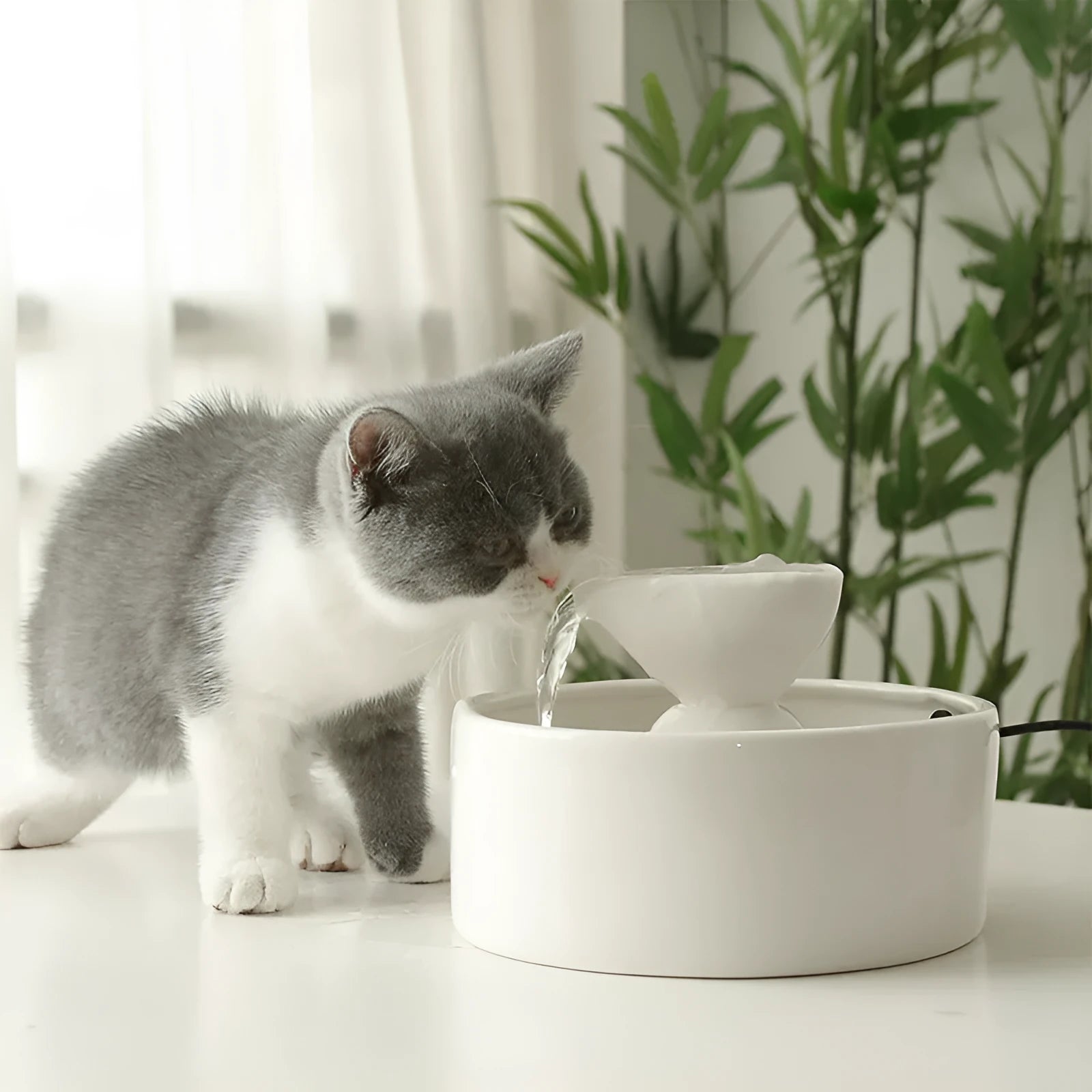 White ceramic cat drinking fountain with automatic circulation and USB power cord