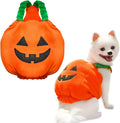 Orange pumpkin plush Halloween costume on a small dog, showing pullover design and soft texture.