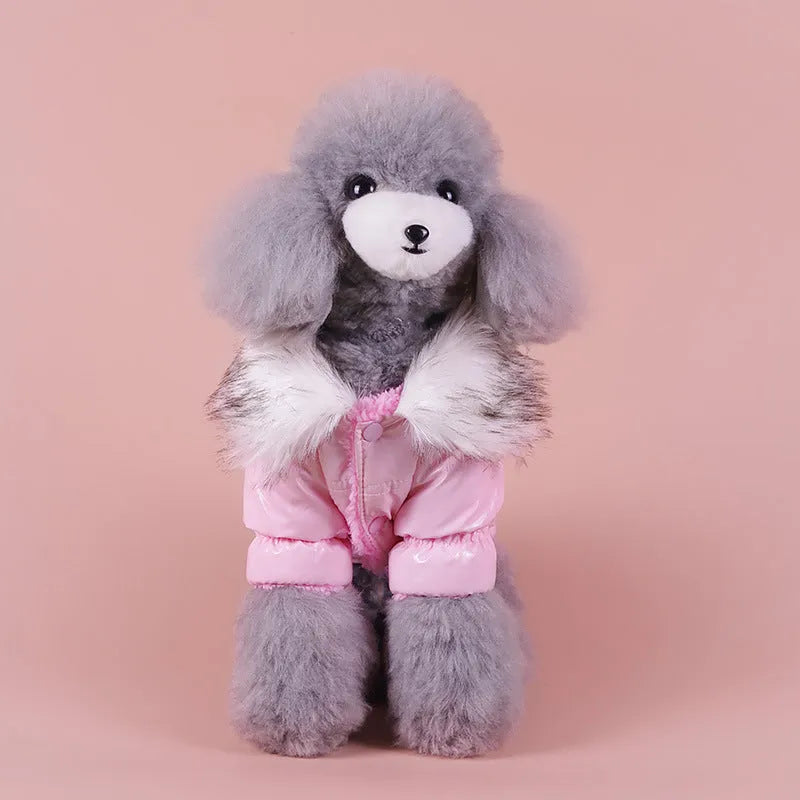 British-style blue cotton winter jacket for dog on wooden background