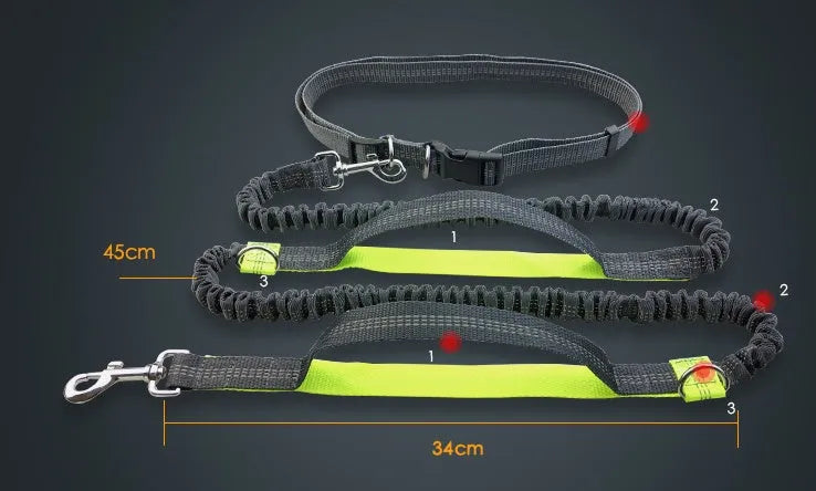 Reflective hands-free dog lead with elastic bungee, waist belt and phone pocket, adjustable 160-260cm