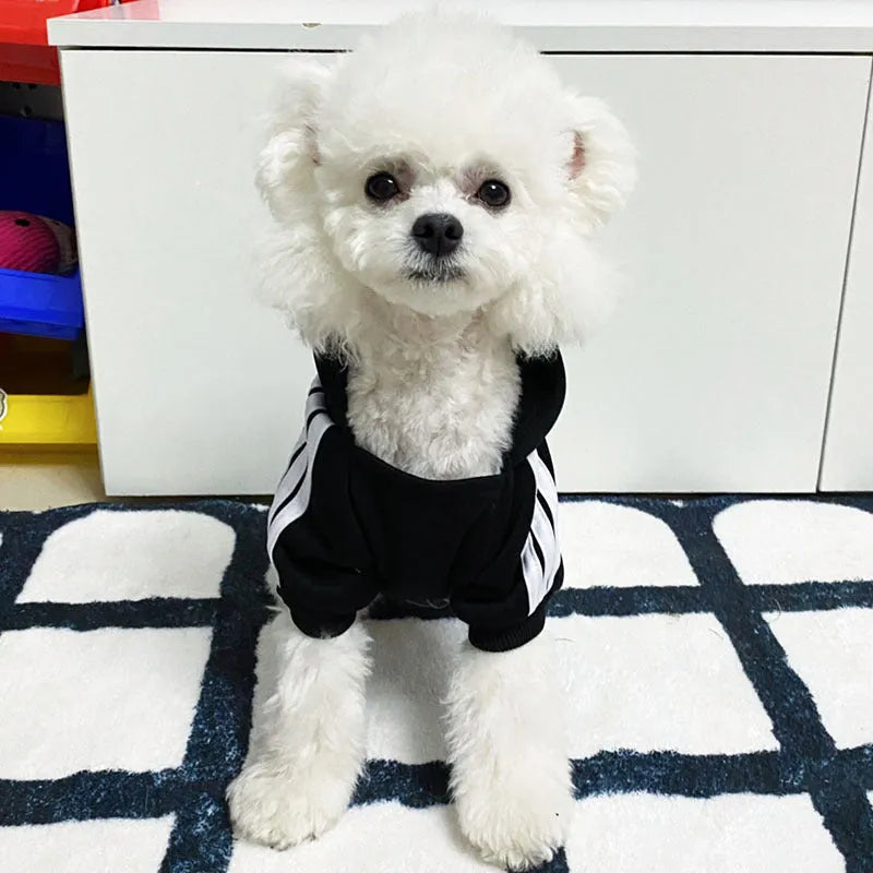 Cartoon-style polyester dog jumper in red, black or yellow, sizes XS to 4XL for autumn and winter