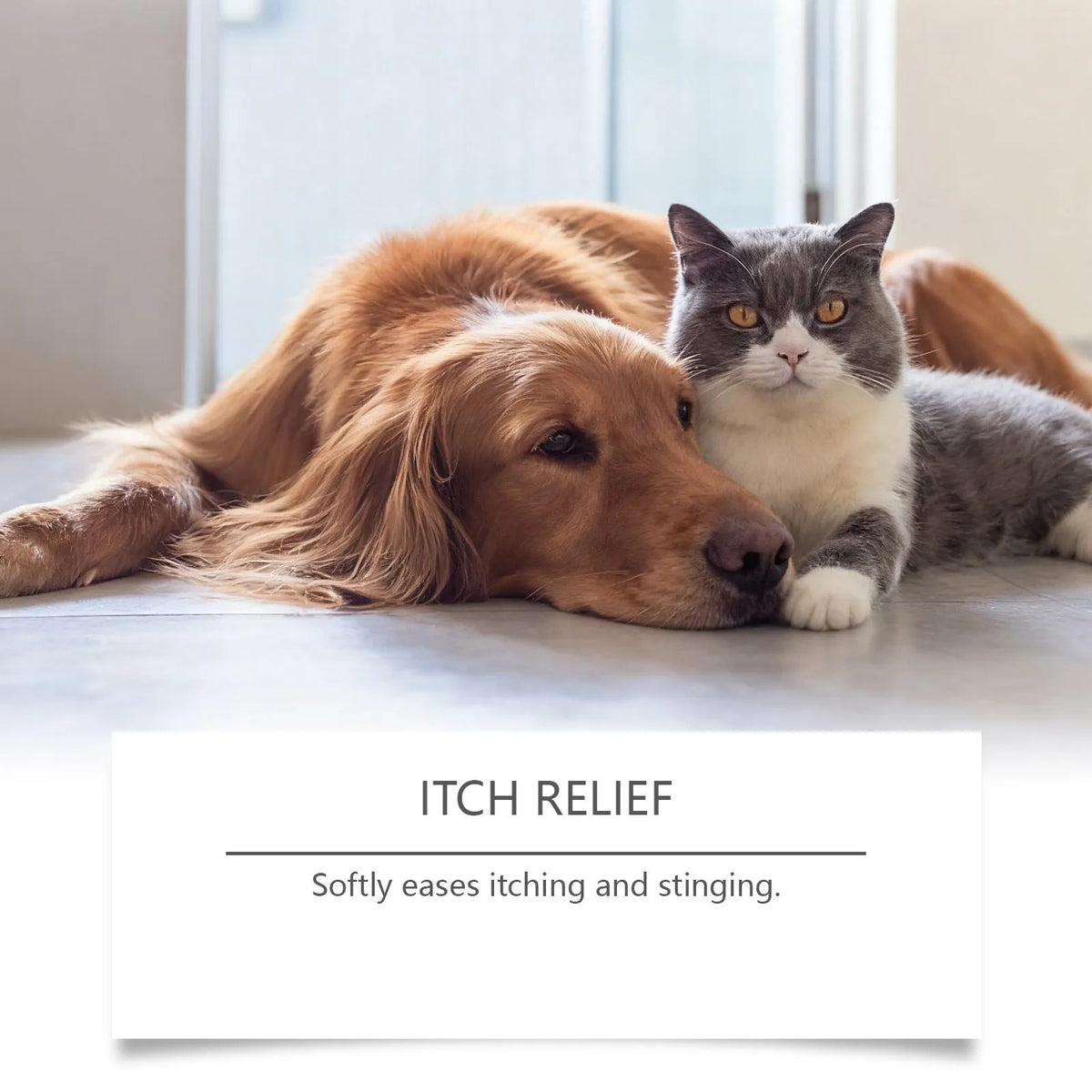 Pet hydro gel 20g tube with soothing formula for dog and cat paw and skin care