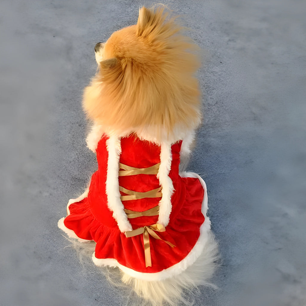 Red velvet pet skirt for female dogs, size XS to L, Christmas New Year outfit