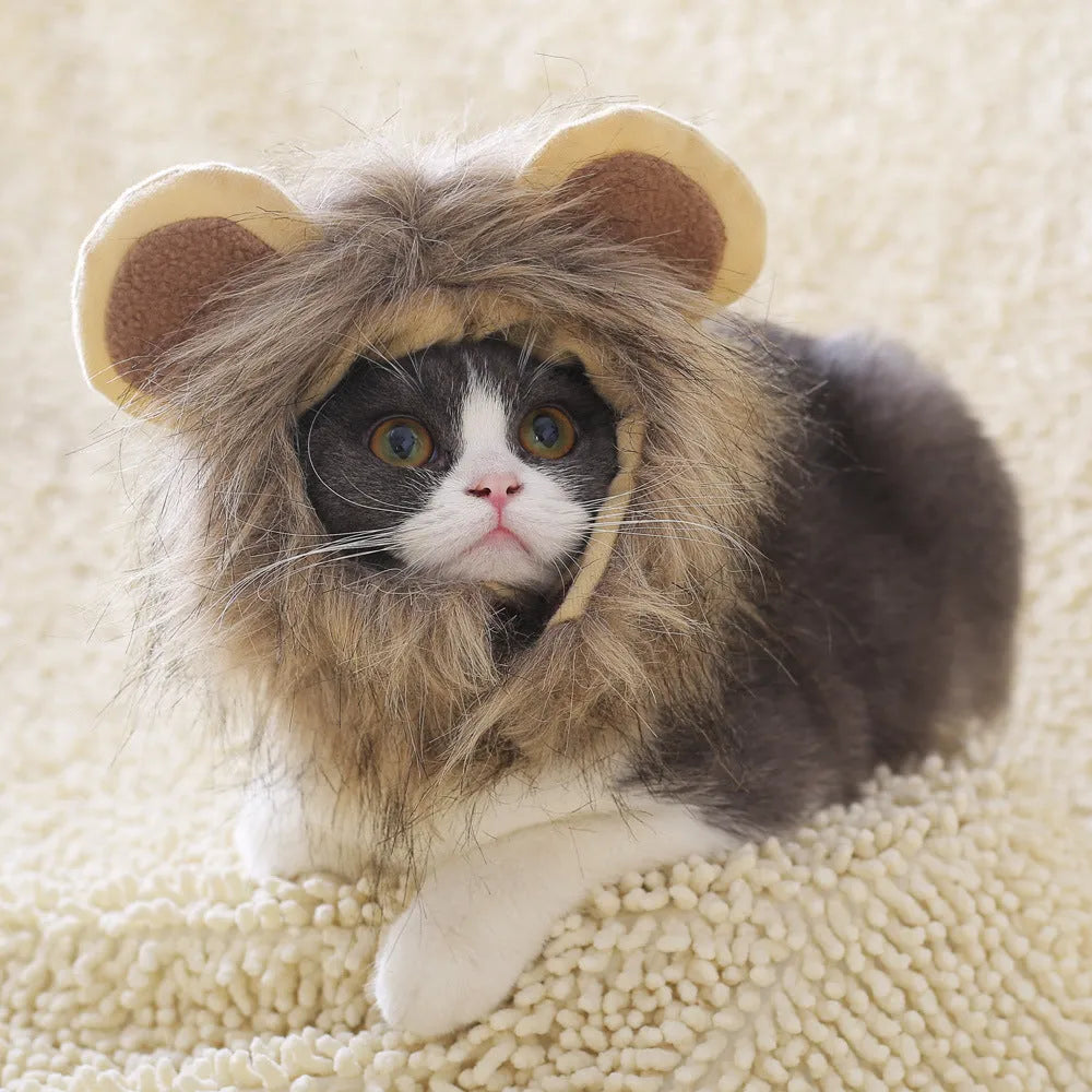Non-woven yellow lion headgear cat hat pullover for 28-38cm neck circumference