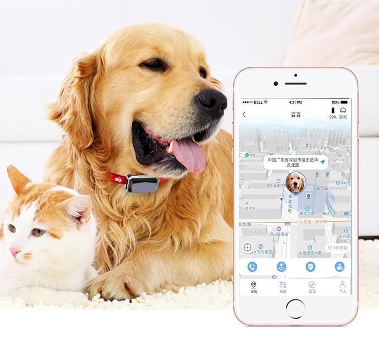 Black pet GPS tracking collar with LED light, Beidou and GPS positioning, on a light background