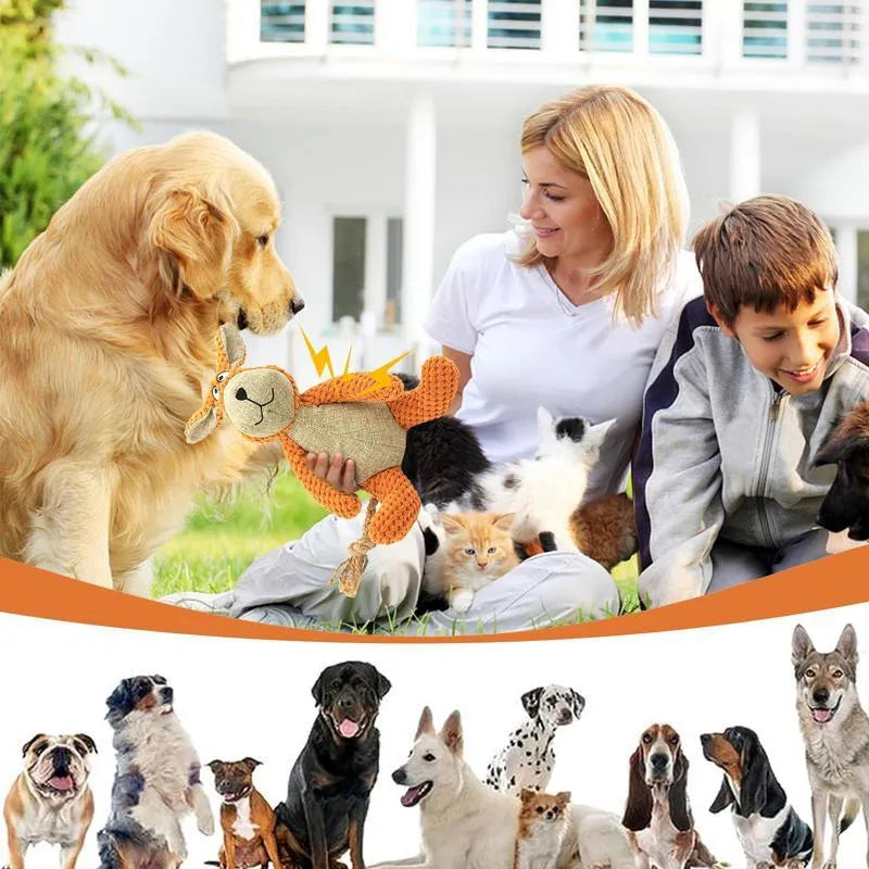Assorted plush dog chew toys in donkey, elephant, orangutan, and rabbit shapes with squeakers.