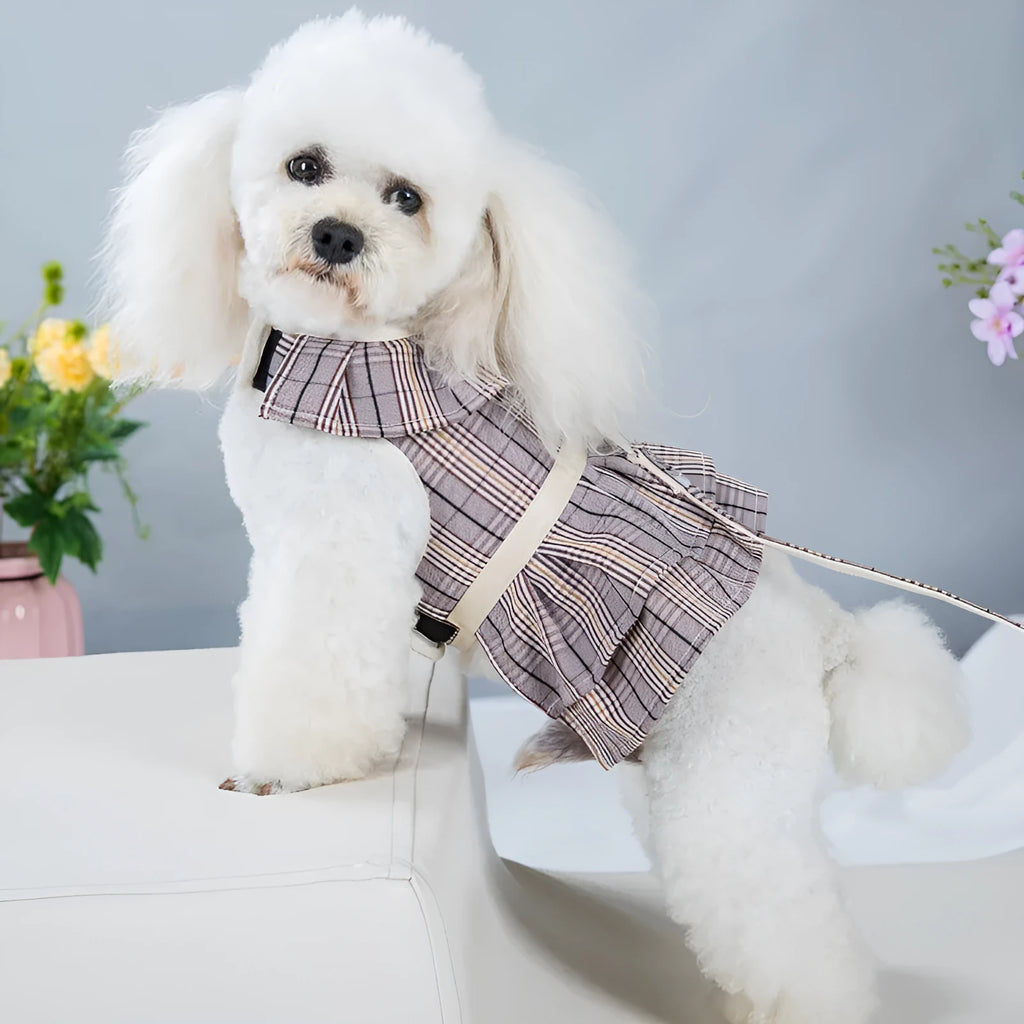 Pet walking vest with chest strap and hand holding rope in beige or purple polyester