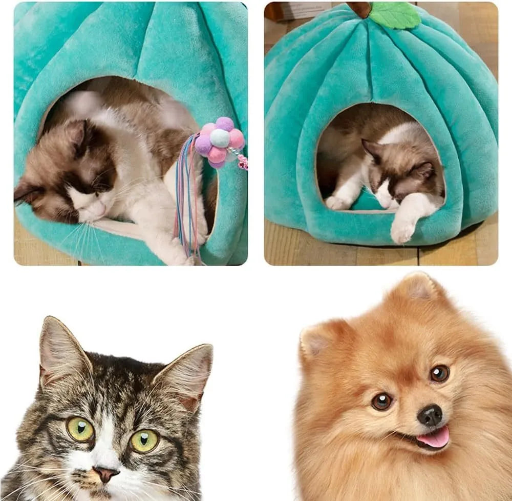 Pumpkin-shaped cat bed in blue, showing semi-enclosed cave design and plush fabric entrance.