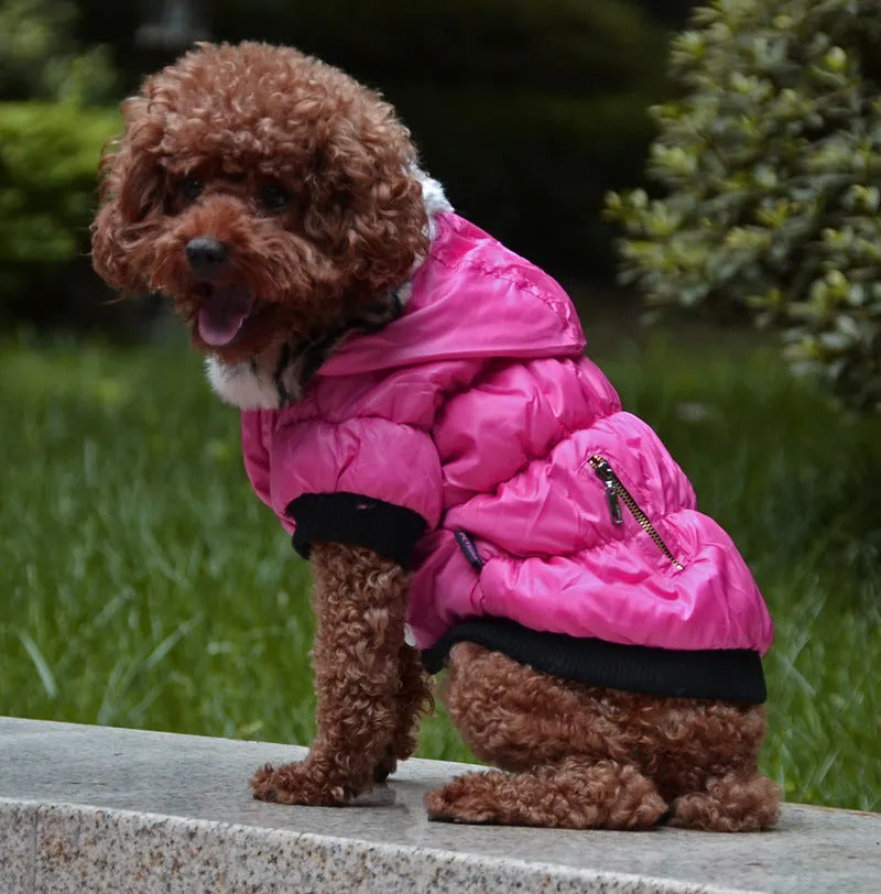 Zippered cotton padded pet clothes in polyester, shown in multiple colours and sizes XS to 2XL