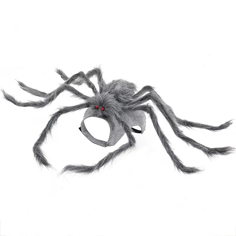 Grey big spider Halloween costume on a small dog, showing the full costume fit.