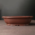 Handmade purple clay Chinese style bonsai pot measuring 25 cm long by 20 cm wide.