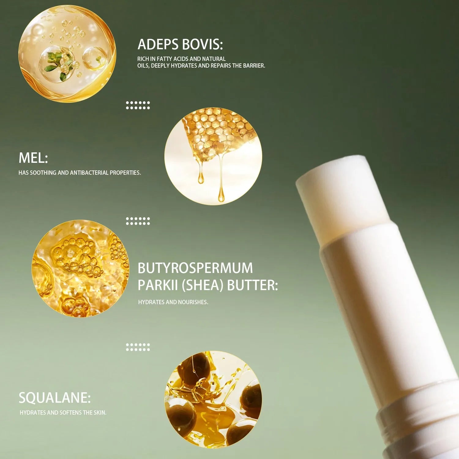 Tallow lip balm 5g in 83mm x 19mm x 19mm case with FP B021 model reference