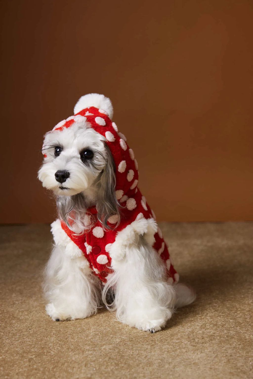 Red polka dot sleeveless hooded dog vest coat on a pet, front view, polyester fabric