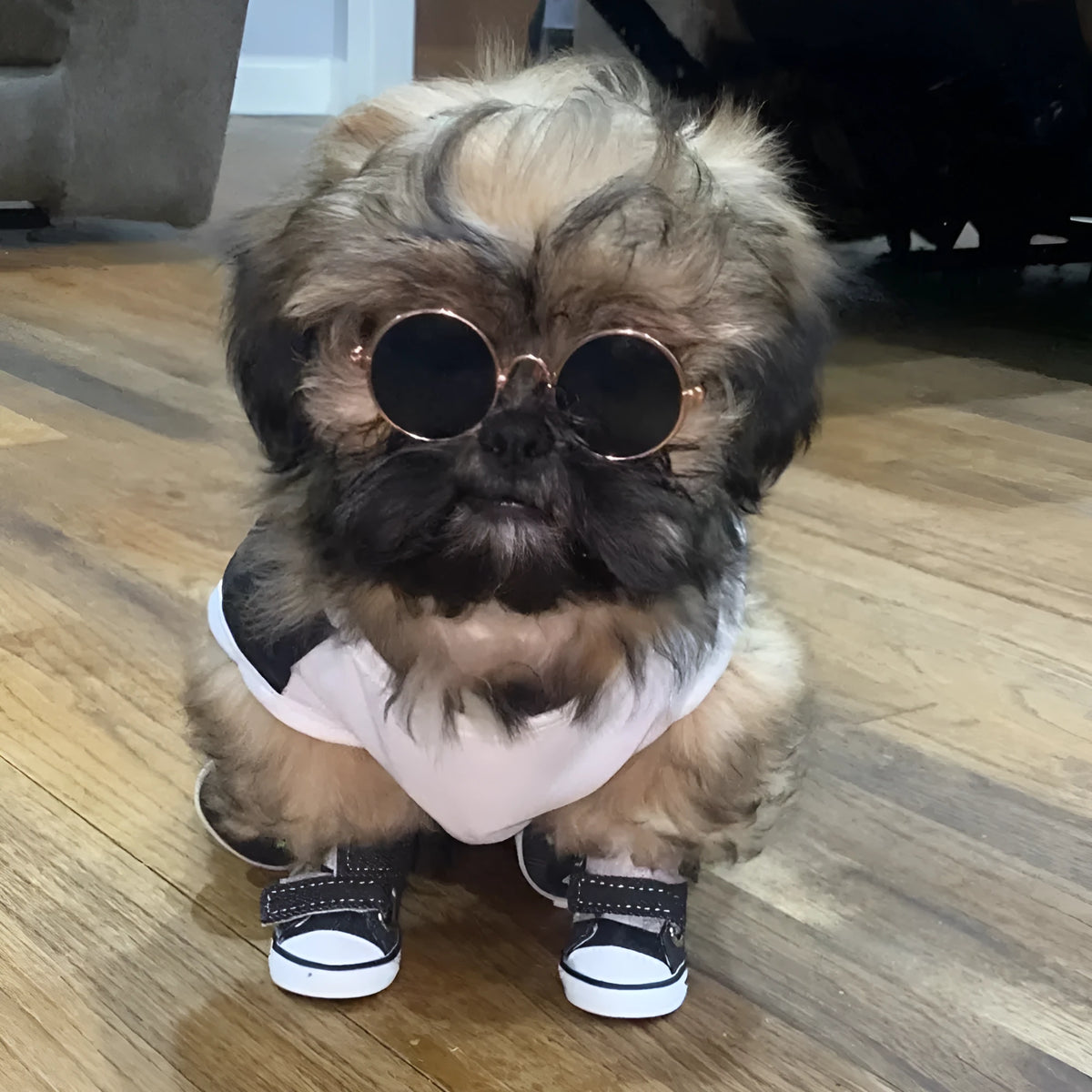 Small dog canvas shoes in blue or black, anti-slip cloth pet boots, sizes 1 to 5, set of 4.