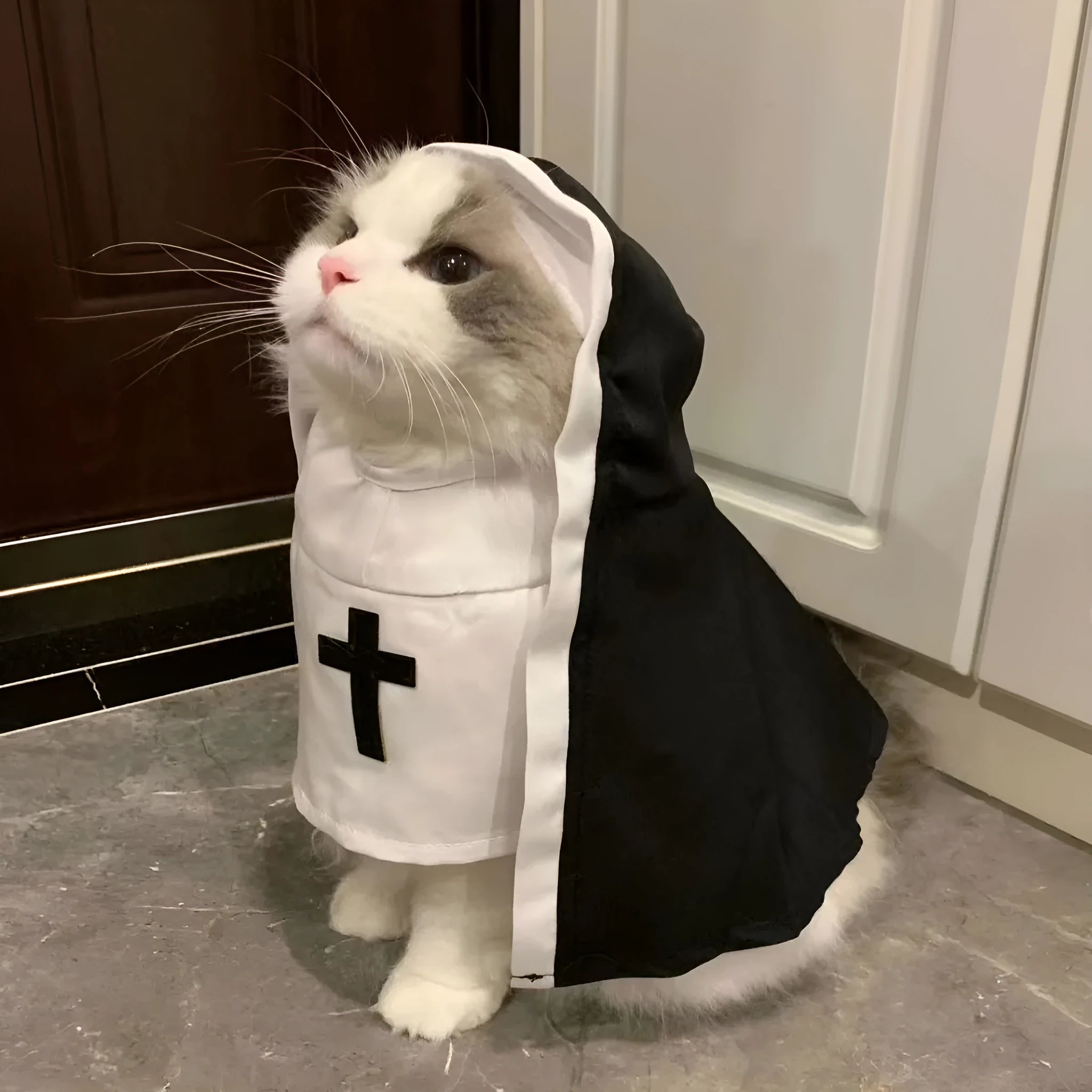 Black and white nun costume for small to medium dogs on Halloween
