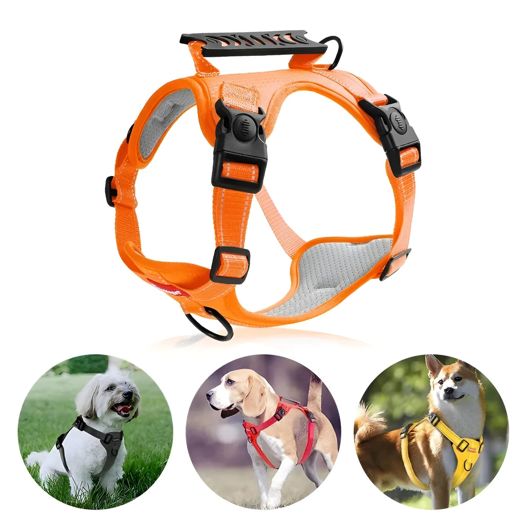 A Lake Blue coloured dog harness and lead set showing the Y-shaped front and adjustable straps on a model.