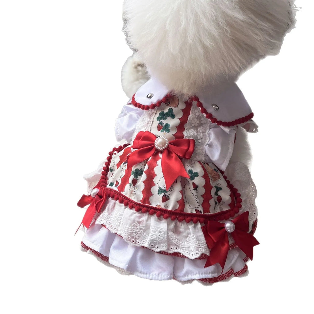 Small white dog wearing a pink rabbit skirt princess dress, showing flared shape and fit.