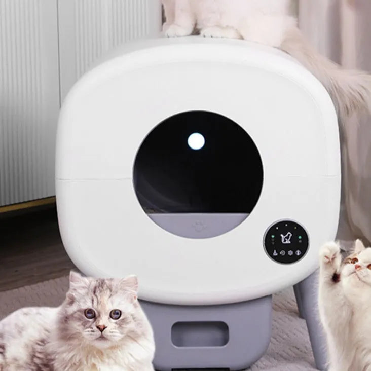 Large grey automatic self-cleaning cat litter box with digital display, showing dimensions of 55cm wide by 64.5cm high.