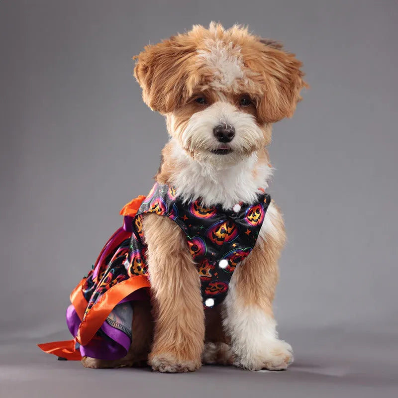 A dog wearing a double-layer orange Halloween skirt with a colourful pumpkin print.