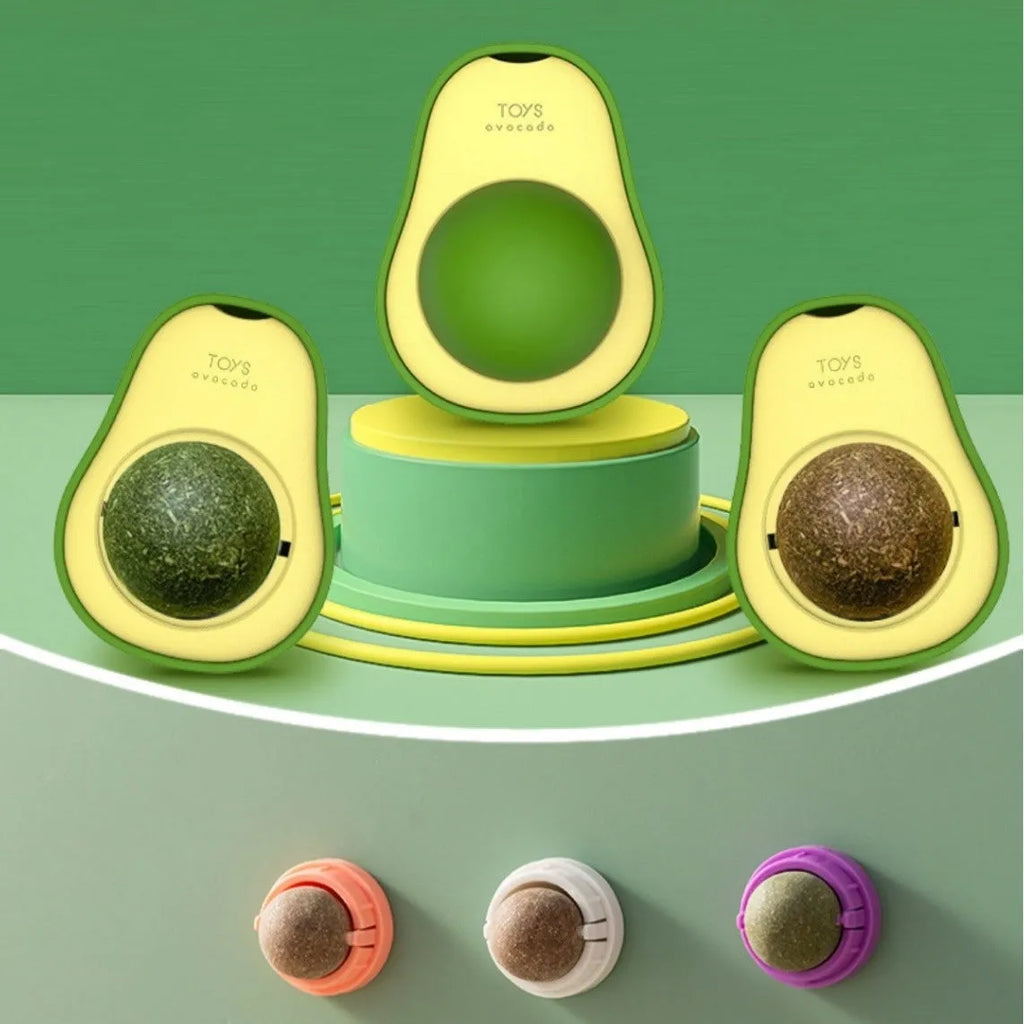 Plastic catnip ball toy for dental care in various colours with textured chewing surface
