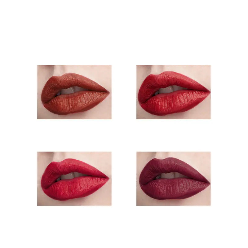 Matte lipstick 3.2g moisturising waterproof in shades 01 H, 02, 03, 04 for adult ladies