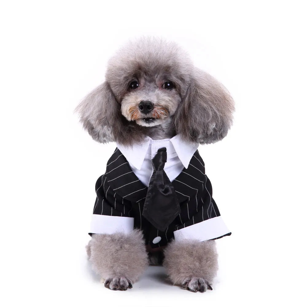 Polyester England style pet dog suit in Black tie, Blue bow tie, Striped dovetail, Striped suit, or White tie, sizes S to XL