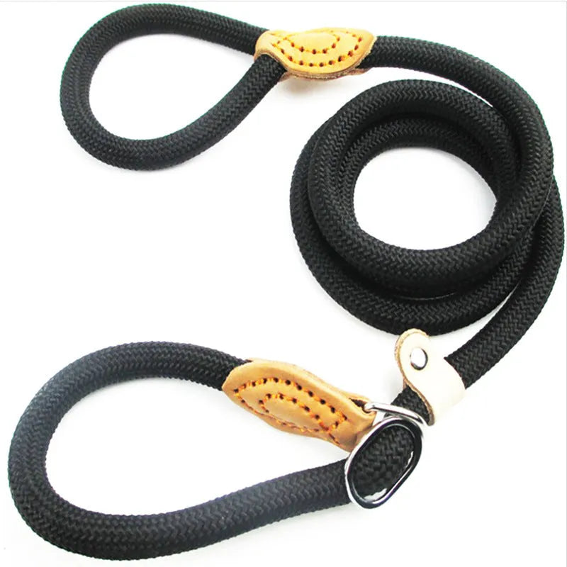 Brown nylon dog leash with hand holding rope and P chain attachment