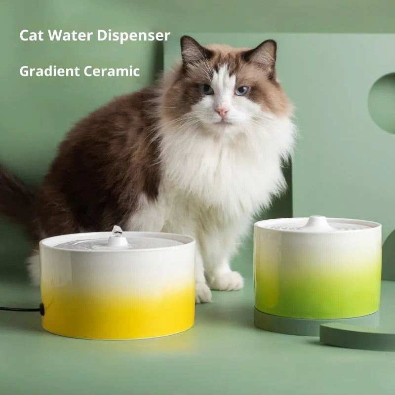 Ceramic cat water dispenser drink fountain USB powered in Bondi Blue Gradient colour