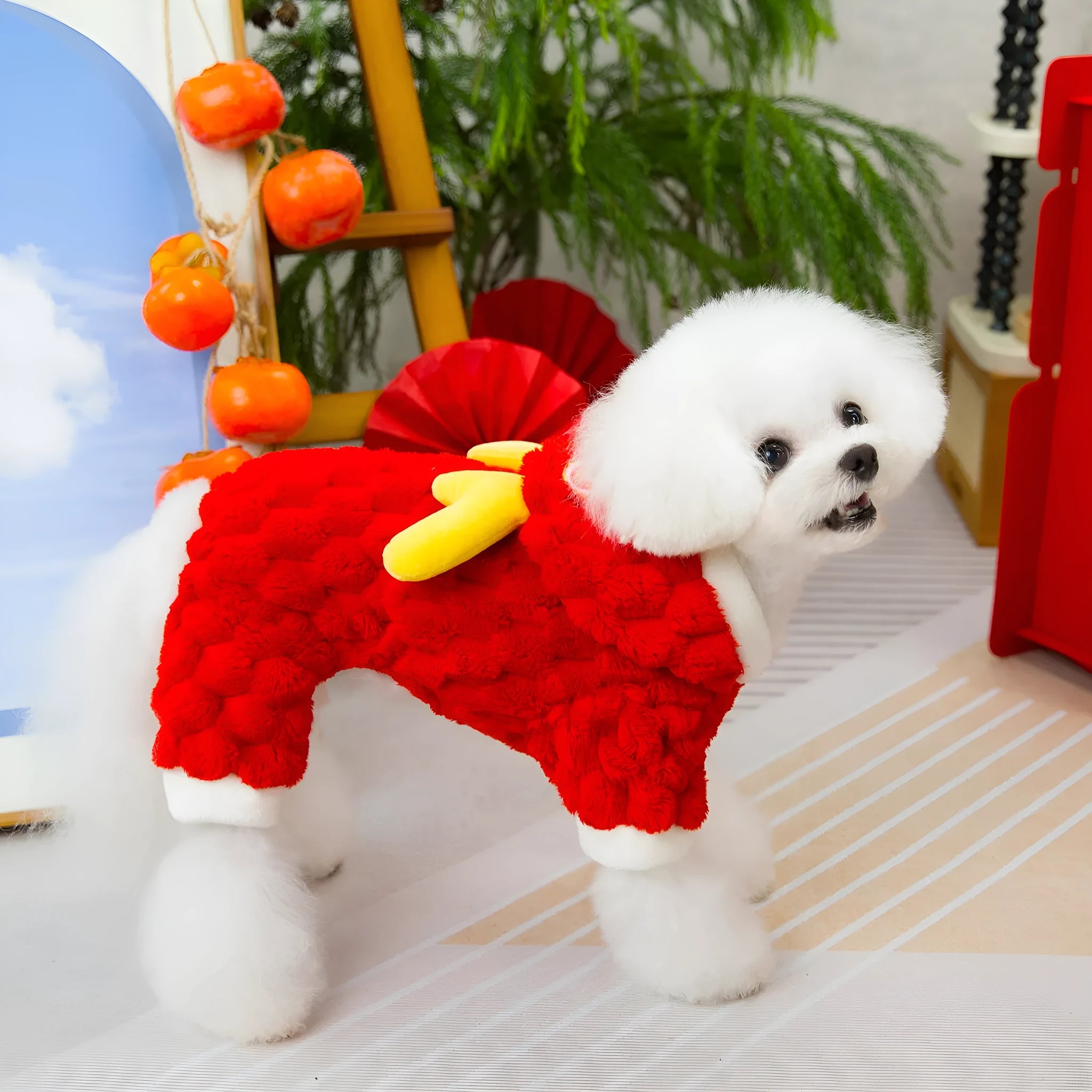 Red double-sided velvet pet jacket with cartoon dragon design shown on dog model