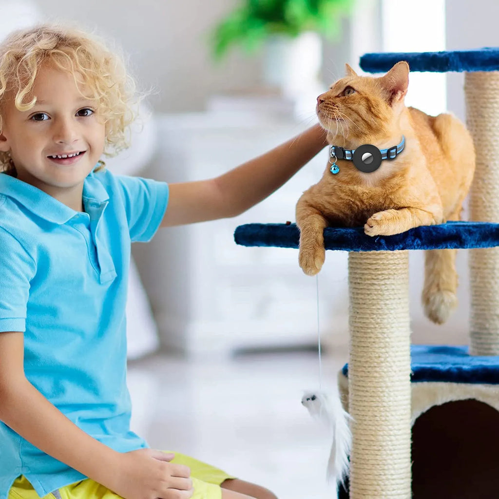 Reflective Airtag pet collar with bell on a small cat, adjustable 22-35 cm nylon with safety buckle
